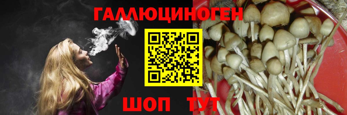 Галлюциногенные грибы мицелий  Вход с VPN  Кореновск 